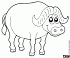 Buffalo