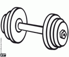 Barbell, muscular exercise, weightlifting