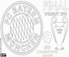 FC Bayern Munich, champion of the UEFA Champions League 2012–13