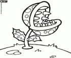 Piranha plant. Piranha flower. Carnivorous plant from the Mario series