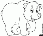 White bear, polar bear
