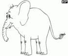 An elephant with tusks, seen from side
