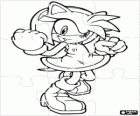 Amy Rose, the girlfriend of Sonic puzzle