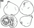 Four figs, fruit of the fig tree