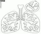 World Pneumonia Day, 12 november. Diseased lungs. A virus with the signal of prohibition