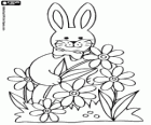 A rabbit with some flowers in spring