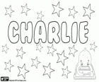 Charlie, name derived from Charles. Usually a nickname for Charles