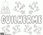 Guilherme, name of Germanic origin. Its meaning is the one who protects