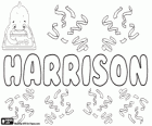 Harrisson, name of English origin. Its meaning is the son of Harry