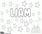 Liam, abbreviation of the names Uilliam and William