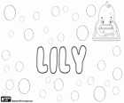 Lily, name of English origin, derived from the name of the flower, the lily
