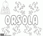 Orsola, name derived from the Latin Orsa or Ursula. Its meaning is Little bear