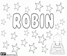 Robin, name with various origins and meanings. Robin, name in various languages