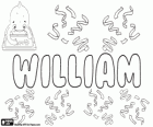William, name of Germanic origin. Its meaning is the one who protects