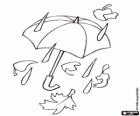 Typical elements of the autumn: an umbrella, the rain drops and the dry leaves