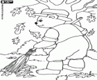 A bear gardener picks up the dry leaves with the rake