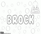 Brock, name of Celtic origin. Its meaning is like a badger