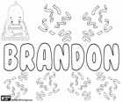 Brandon, name of English origin. It was originally a surname which means A hill covered in broom, gorse