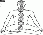 The chakras, the centers of immeasurable energy of the human body according to Hinduism