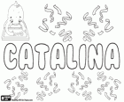 Catalina, name of Greek origin. Its meaning is pure, immaculate