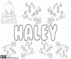 Haley, name of English origin. Its meaning is meadow of hay