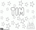 Tim, a short form of the name Timothy. Tim, diminutive name used in several languages such as English and German among others