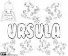 Ursula, name of Latin origin. Its meaning is the little bear