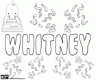 Whitney, name of English origin. Its meaning is white island