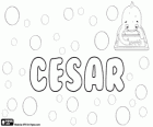 Cesar, name of Latin origin. Comes from the Latin nickname Caesar