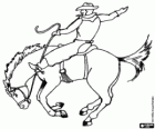The cowboy riding a horse at a rodeo