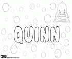 Quinn, name of gaelic origin. Quinn, name used both for man and for woman