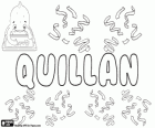 Quillan, name of Gaelic origin. Variant of Quillen