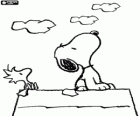 Snoopy and Woodstock looking at the sky