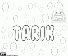 Tarik, name of Arabic origin. Comes from the bright star from the Coran, Tariq