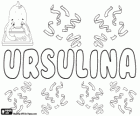 Ursulina, name for girl, variant of Ursula