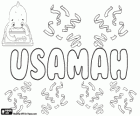 Usamah, name of Arabic origin. Its meaning is lion