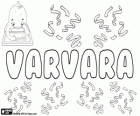 Varvara, name of Greek origin. Variant of Barbara. Varvara, transliteration of the name in Greek and Russian
