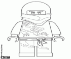 A ninja warrior, Lego Ninjago