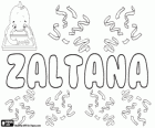 Zaltana, name that comes from the native Americans. Its meaning is high mountain