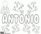 Antonio, name of Latin origin. Derivate from Antonius
