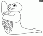 The seal Robby with a fish