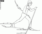 A cross-country skier with the skis and the ski poles