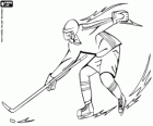 Ice hockey, a skater with the hockey stick. Olympic Winter Games