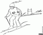 Slalom, technical competition of alpine skiing, Olympic Winter Games