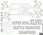 Seattle Seahawks, Super Bowl 2014 Champions