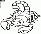 Scorpio. The scorpion. Eighth sign of the zodiac