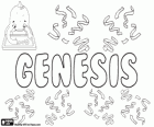 Genesis, name of Hebrew origin. Its meaning is origin