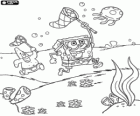 SpongeBob and Patrick Star and the jellyfish hunting