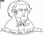 Bust of Franz Peter Schubert. Famous Austrian composer who was born in 1797 and died in 1828