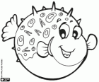 Blowfish or pufferfish, a very poisonous fish